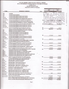 AUDITORIA PLAN DE CUENTA  PAG  10