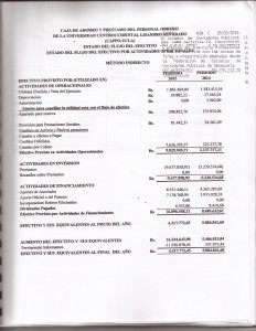 AUDITORIA PLAN DE CUENTA  PAG  13