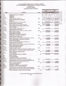 AUDITORIA PLAN DE CUENTA  PAG  4