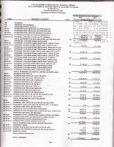 AUDITORIA PLAN DE CUENTA  PAG  8